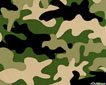 camo
